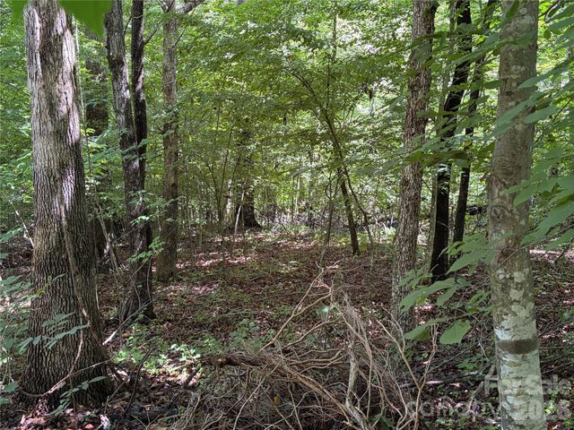 0 Beechtree Circle, Rutherfordton, NC 28139