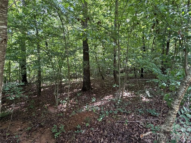 0 Beechtree Circle, Rutherfordton, NC 28139