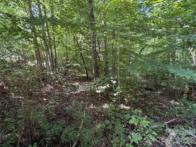 0 Beechtree Circle, Rutherfordton, NC 28139