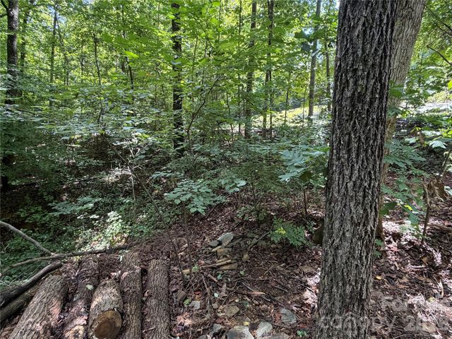 0 Beechtree Circle, Rutherfordton, NC 28139