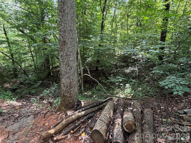 0 Beechtree Circle, Rutherfordton, NC 28139
