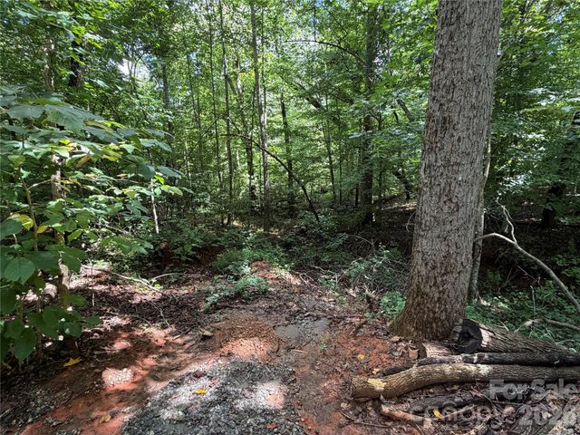0 Beechtree Circle, Rutherfordton, NC 28139