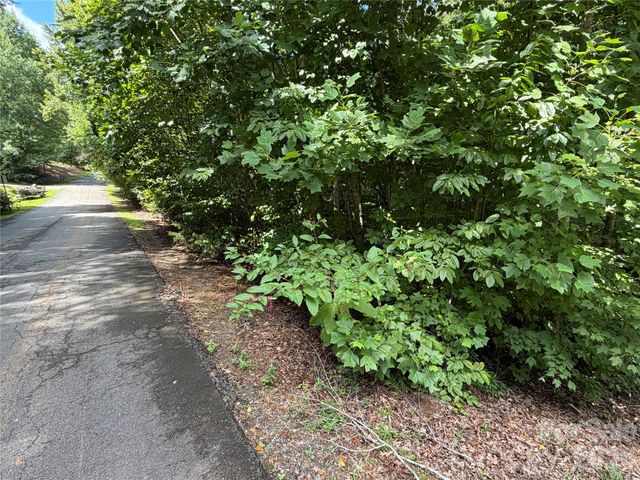 0 Beechtree Circle, Rutherfordton, NC 28139