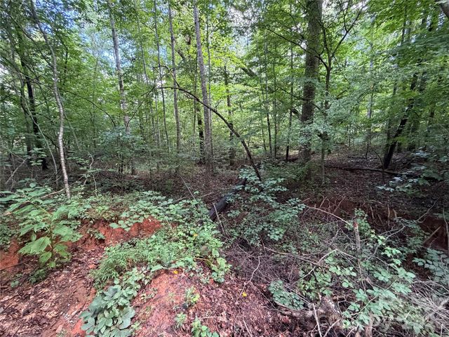 0 Beechtree Circle, Rutherfordton, NC 28139