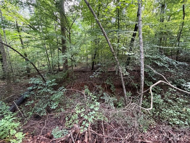 0 Beechtree Circle, Rutherfordton, NC 28139