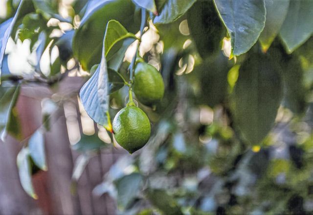 8733 Nakota Way, Sacramento, CA 95828