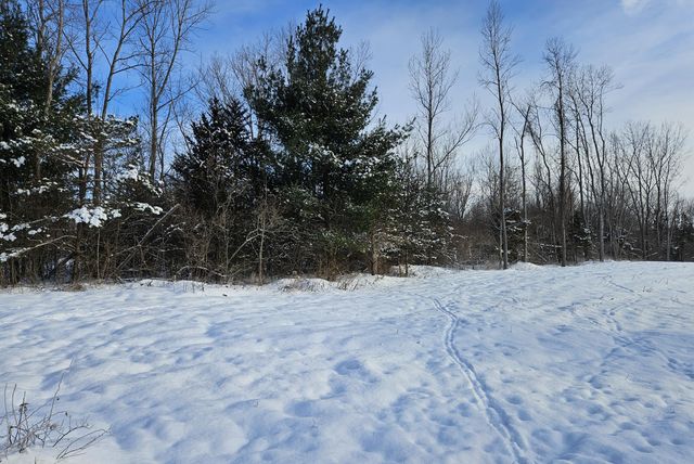 14th Avenue Parcel B, South Haven, MI 49090