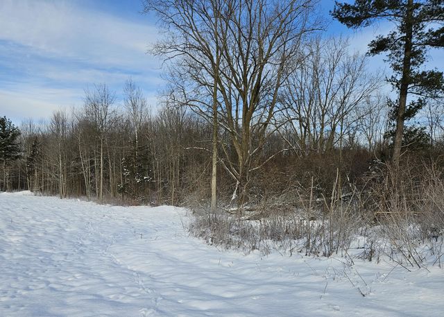 14th Avenue Parcel B, South Haven, MI 49090