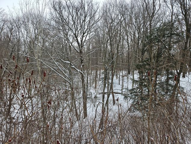 14th Avenue Parcel B, South Haven, MI 49090