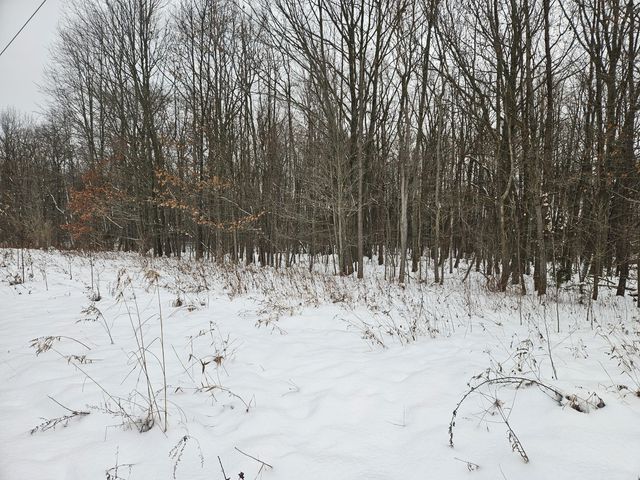 14th Avenue Parcel B, South Haven, MI 49090