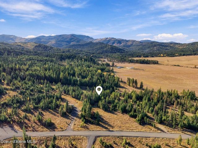 997 Green Valley RD, Fernwood, ID 83830 property photo