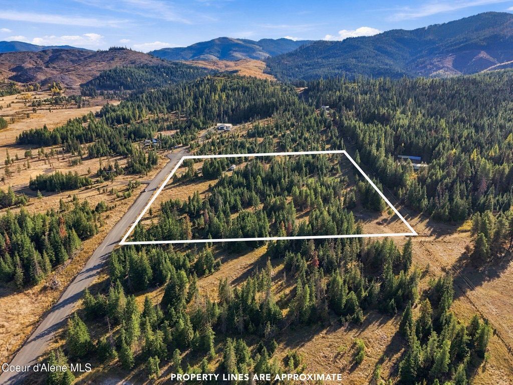 997 Green Valley RD, Fernwood, ID 83830 photo 2