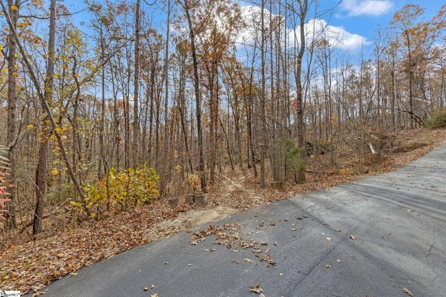 45 Danna View Court, Marietta, SC 29661