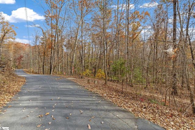 45 Danna View Court, Marietta, SC 29661