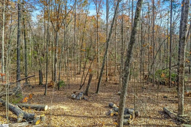 45 Danna View Court, Marietta, SC 29661