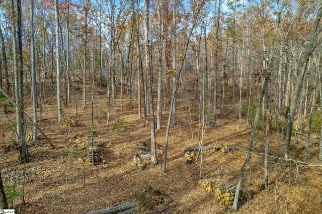 45 Danna View Court, Marietta, SC 29661
