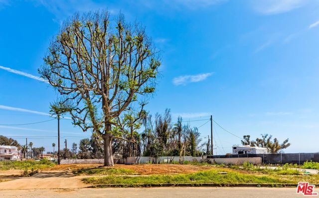 332 Mount Holyoke Avenue, Pacific Palisades (los Angeles), CA 90272