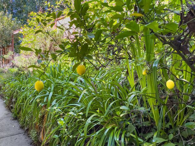 16017 Palo Alto Dr, Guerneville, CA 95446