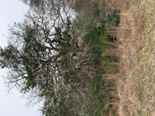 Tbd Peace Pipe, Smithville, TX 78957
