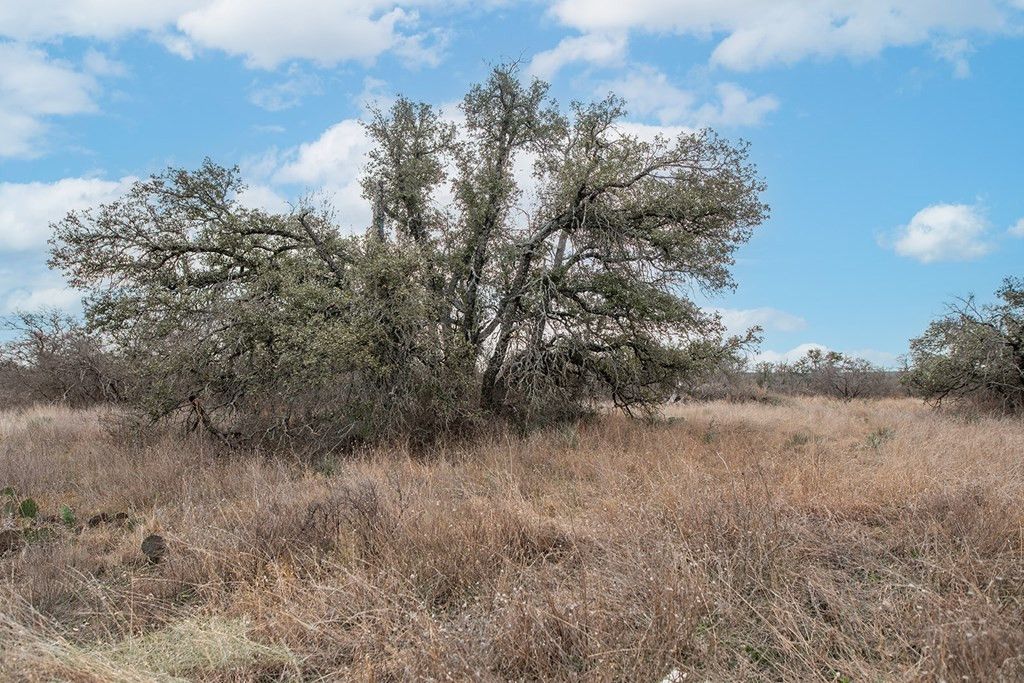 Image 17 of property listing at 9290 Buck Ridge, Brady, TX 76825