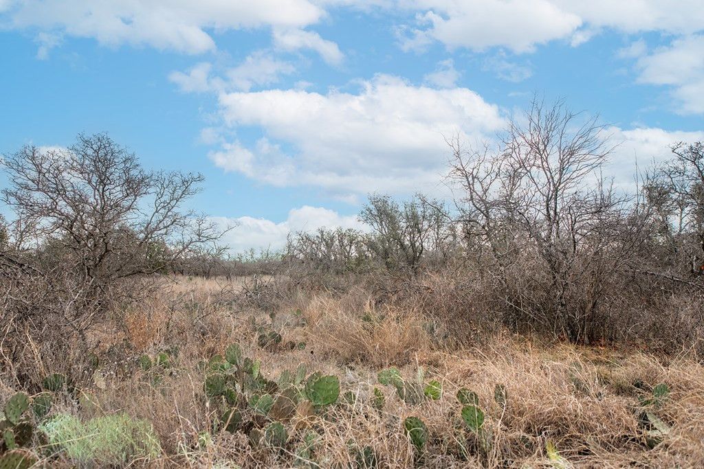 Image 18 of property listing at 9290 Buck Ridge, Brady, TX 76825