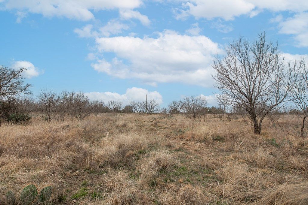 Image 8 of property listing at 9290 Buck Ridge, Brady, TX 76825