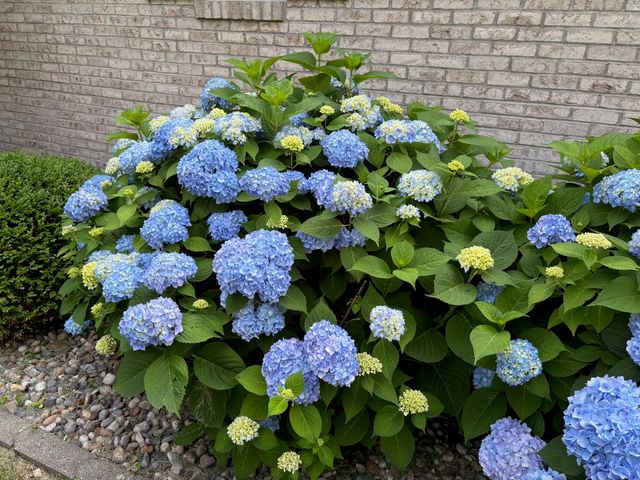 8 DOGWOOD Place, Harrisburg, IL 62946