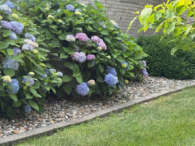 8 DOGWOOD Place, Harrisburg, IL 62946