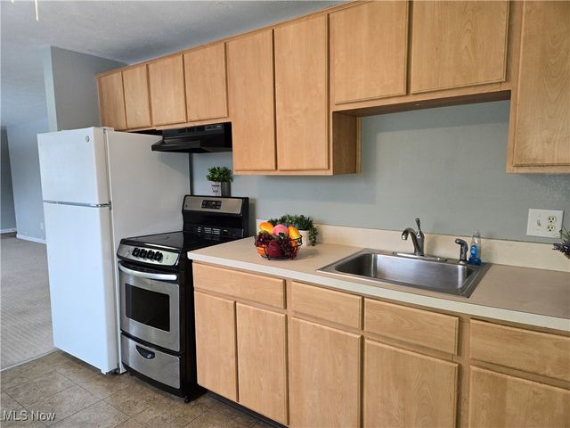 115 S Rocky River Drive 201, Berea, OH 44017