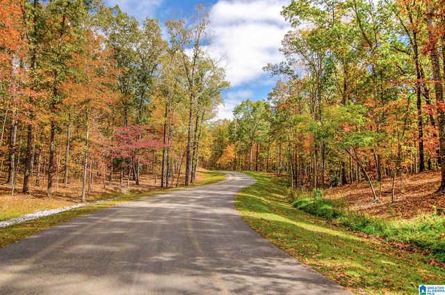 852 CAVALIER RIDGE, Birmingham, AL 35242