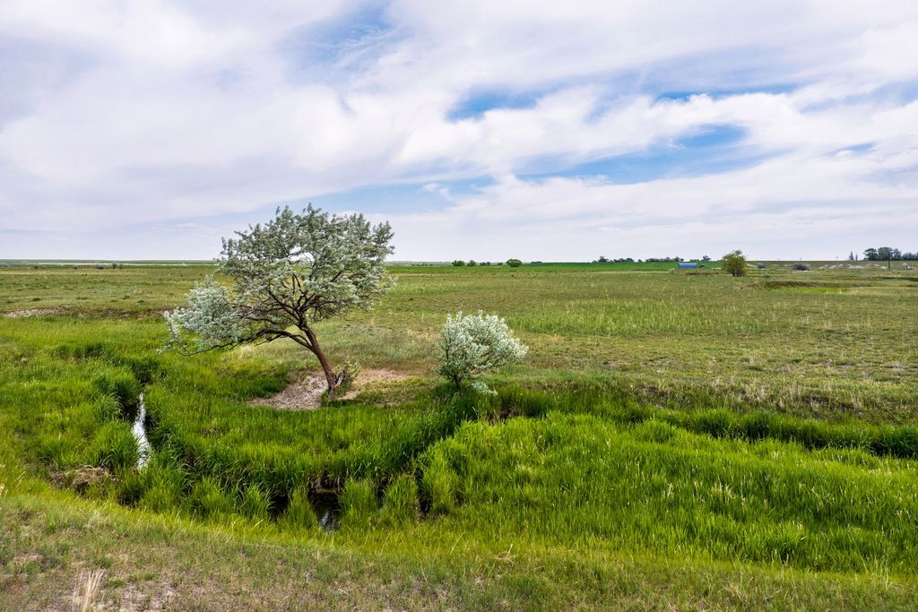 64 Holmesland Road, Sun River, MT 59483 photo 43