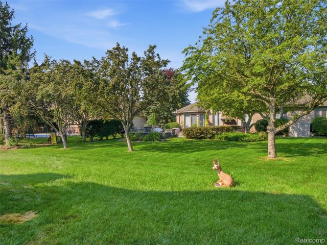 48507 Montelepre Drive, Shelby Charter Township, MI 48315