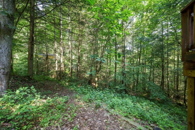 3556 Right Fork Fixer Road, Zoe, KY 41397