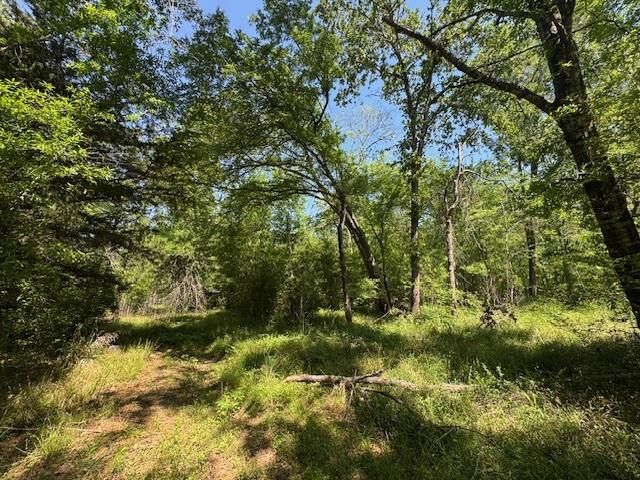114 Brazil Boulevard, Huntsville, TX 77320