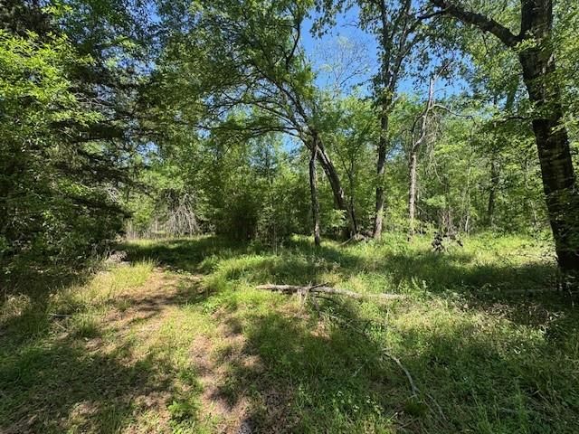 114 Brazil Boulevard, Huntsville, TX 77320