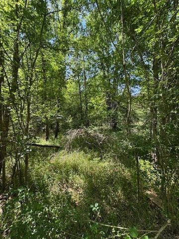 114 Brazil Boulevard, Huntsville, TX 77320