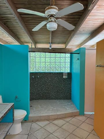 28 QUINTA VAGABUNDO, Vieques, PR 00765