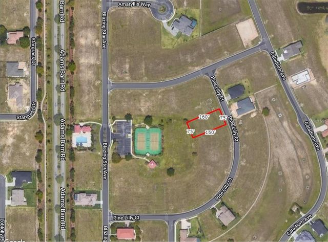 253 PINE LILLY COURT, Lake Alfred, FL 33850