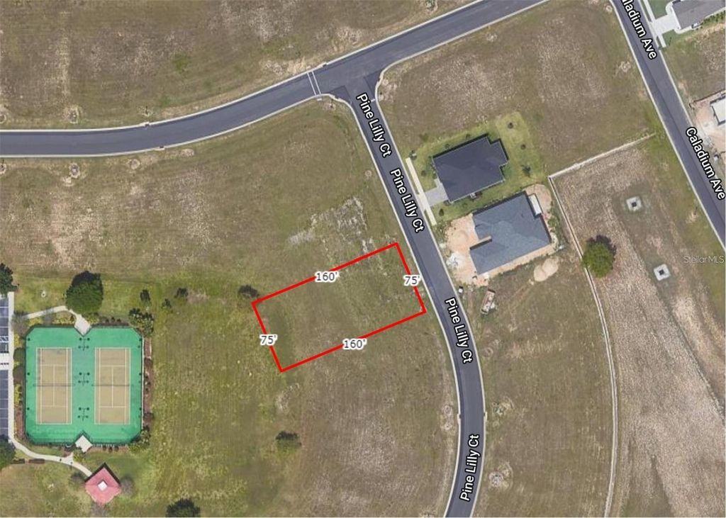 253 PINE LILLY COURT, Lake Alfred, FL 33850