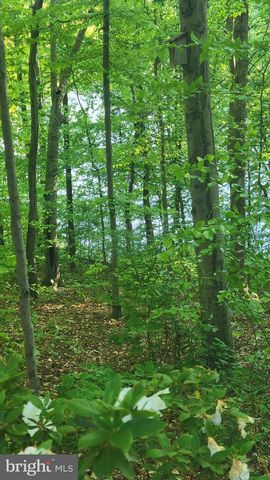 15370 INLET PL, Dumfries, VA 22025