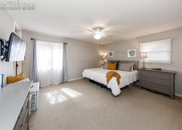 735 Big Valley Drive, Colorado Springs, CO 80919