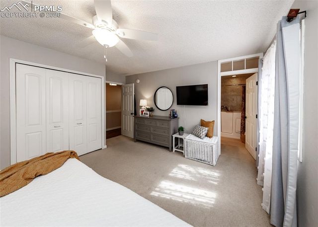 735 Big Valley Drive, Colorado Springs, CO 80919