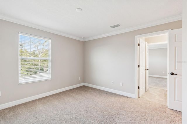 345 VILLA CORTE DRIVE, Lutz, FL 33549