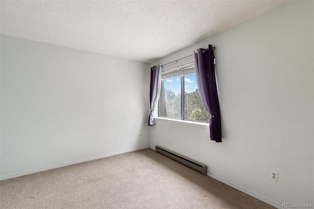 560 Manor Court C, Woodland Park, CO 80863