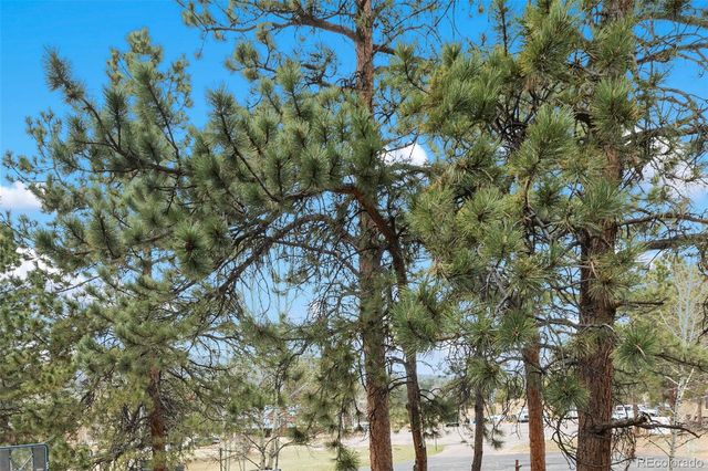 560 Manor Court C, Woodland Park, CO 80863