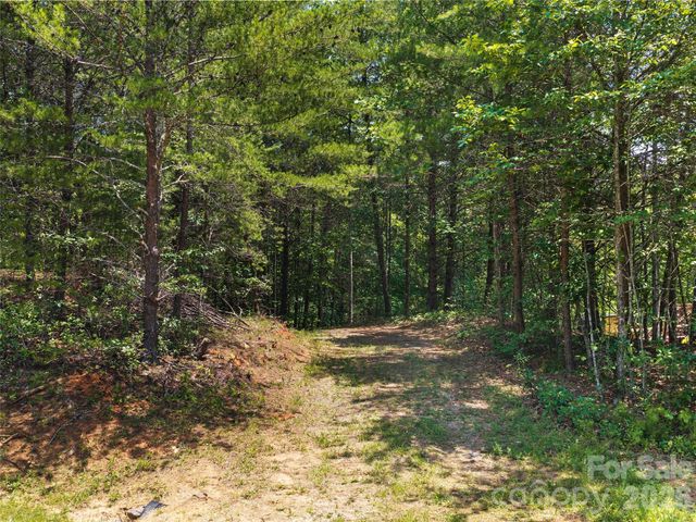 Lot 14 Parkway North Road 14, Mill Spring, NC 28756