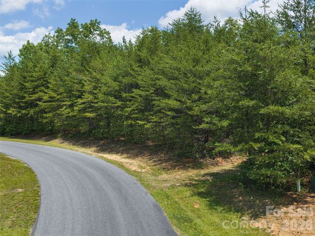 Lot 14 Parkway North Road 14, Mill Spring, NC 28756