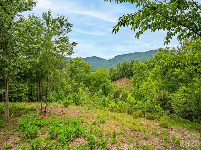 Lot 73 Chestertown Drive 73, Mill Spring, NC 28756