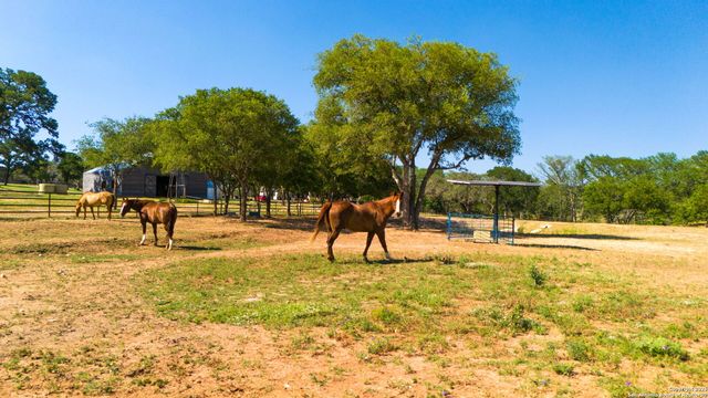 1146 SISTERDALE RD, Boerne, TX 78006