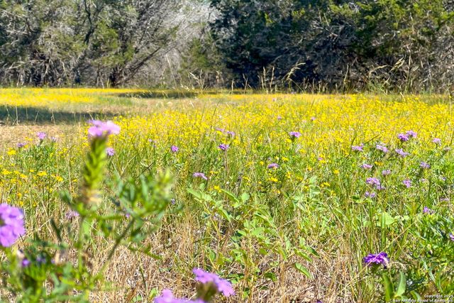 1146 SISTERDALE RD, Boerne, TX 78006